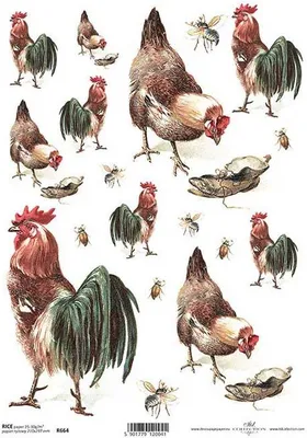 Produktbild von ITD Reispapier Decoupage Bastelpapier Softpapier, R664 - Hähne