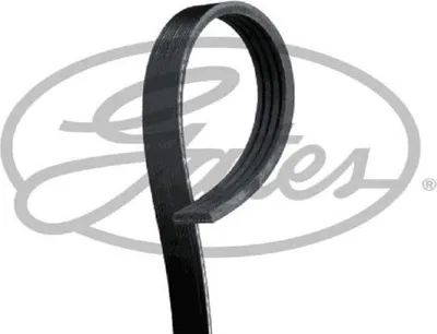 Produktbild von Keilrippenriemen GATES 4PK903SF