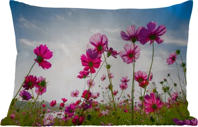 Produktbild von MuchoWow® Outdoor Kissen - Blumen - Rosa - Cosmea - 50x30 cm - Wetterfest - Lounge Kissen - Sofa kissen - Wohnzimmer Dekoration