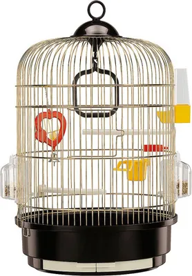 Produktbild von vogelkäfig Regina 32,5 x 49 cm Stahl schwarz/gold