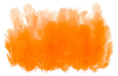 Produktbild von Naturfedern - 300 Stück Hahnfedern für Bastelarbeiten - Für Traumfänger Ohrringe und Anhänger - Orange