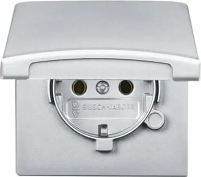 Produktbild von Busch-Jaeger SCHUKO® Steckdosen-Einsatz mit Klappdeckel alusilber - Allwetter 44® (IP44), 1 Stk.