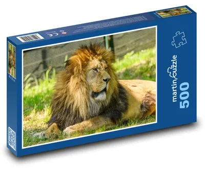 Obrázok produktu pre Puzzle 500 Lev - majestátny kráľ savany - martinpuzzle