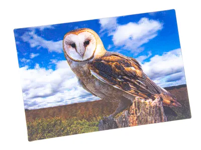 Produktbild von 3 D Ansichtskarte Schleiereule, Postkarte Wackelkarte Hologrammkarte Tiere Tier Vogel Eulen
