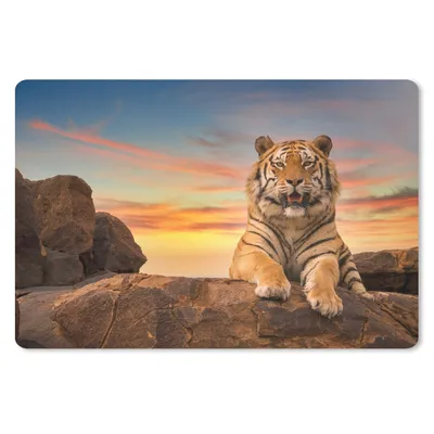 Produktbild von MuchoWow® Schreibtischunterlage Tiger - Sonne - Felsen 60x40 cm - XXL Mauspad - Großes Mauspad