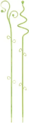 Image de support pour orchidées DECOR ISTC01-CPY2 vert transparent 58,5cm