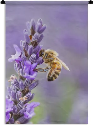 Produktbild von MuchoWow® Wandteppich Wandbehang Biene auf Lavendel 90x135 cm Tapisserie Dekoration Wandtuch - Baumwolle - Wandskulptur