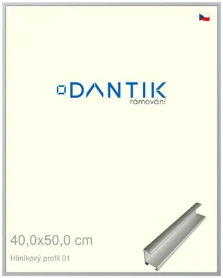 Zdjęcie produktu dla Rama DANTIK 40x50 | Profil ALU 7001 Srebrny mat (Plexi Clear)