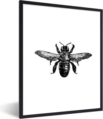 Produktbild von MuchoWow® Gerahmtes Poster Biene - Insekt - Vintage - Schwarz und weiß 30x40 cm - Poster mit Schwarzem Bilderrahmen Wandposter Rahmen Foto Bilder - Wanddeko - Kunstdrucke