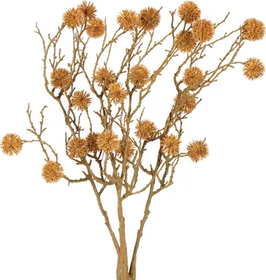 Produktbild von Dekozweig Amberbaum mit naturgetreuen Baumfrüchten für Herbstdeko
