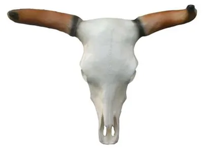 Produktbild von Bullenschädel Stierkopf Wand Skulpturen Höhe 64 cm Deko Figur Wand Dekoration