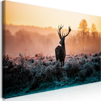 Immagine prodotto di Murale mega XXXL cervo 250x125 cm pezzo unico formato XXL stampa d'arte per auto-assemblaggio stampe su tela quadri moderni decorazione murale fai da te decorazione casa natura animale paesaggio g-B-0048-ak-h
