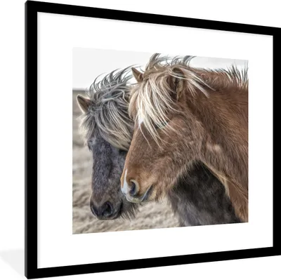 Produktbild von MuchoWow® Gerahmtes Poster Pferde - Natur - Makro 40x40 cm - Poster mit Schwarzem Bilderrahmen Wandposter Rahmen Foto Bilder - Poster - Plakat im Rahmen