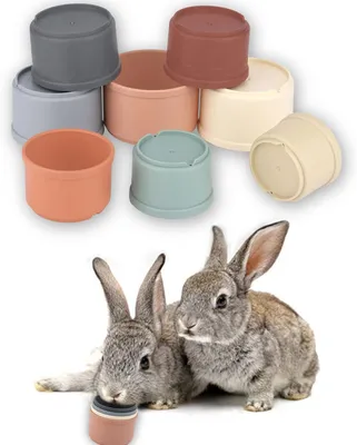 Image de 8 gobelets empilables pour lapins