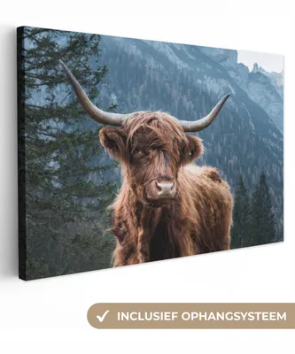 Produktbild von OneMillionCanvasses® - Leinwandbilder - 150x100 cm, Schottisches Hochlandrind - Wald - Höhle, Wandbilder Wohnzimmer Hochland Rind - Tier Wanddekoration - Hochland Rind - Kuh - Gemälde auf Holzrahmen