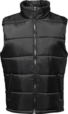 Immagine prodotto di 2786 Scaldacorpo / gilet trapuntato / gilet da uomo RW2509 (M) (Nero)