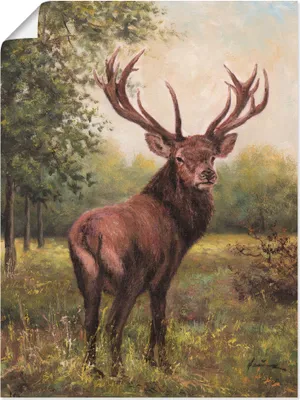 Produktbild von ARTland Poster Hirsch Größe: 90x120 cm
