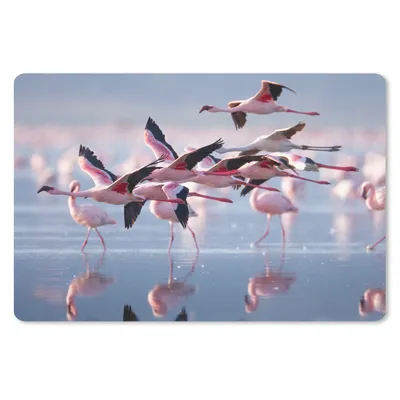 Produktbild von MuchoWow® Mauspad Mousepad Flamingo - Vogel - Wasser - Rosa 27x18 cm - Mousepads - Maus Mat - Pad - Mausunterlage - Büroartikel - Desk Matten