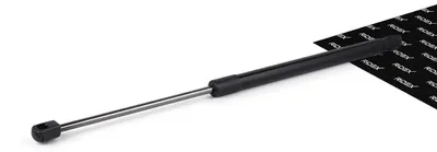 Produktbild von RIDEX 219G0937 Gasfeder Heckklappendämpfer für NISSAN Qashqai II (J11, J11) 482,5mm