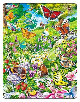 Immagine prodotto di Farfalla puzzle 42 pezzi