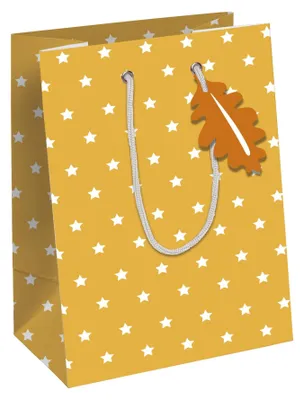 Produktbild von Clairefontaine X-30873-3C, Geschenkverpackungstasche, Muster, 210 g/m², 215 mm, 102 mm, 253 mm