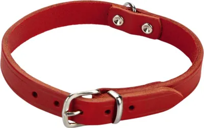 Produktbild von Beeztees - Hundehalsband - Leder - rot - 32-37 cm x 16 mm