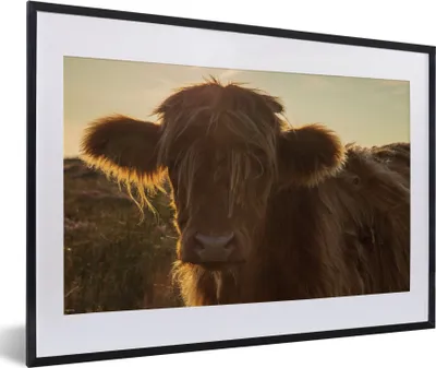 Produktbild von MuchoWow® Gerahmtes Poster Schottischer Highlander - Sonnenuntergang - Gras 60x40 cm - Poster mit Schwarzem Bilderrahmen Wandposter Rahmen Foto Bilder - Schlafzimmer - Plakat in Rahmen - Drucken