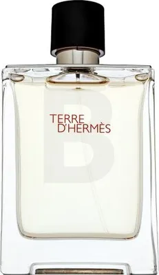 Produktbild von Hermes Terre DŽHermes Eau de Toilette 100ml