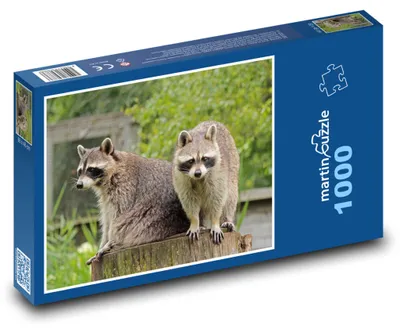 Obrázok produktu pre Puzzle 1000 Medvedík čistotný v prírode - martinpuzzle