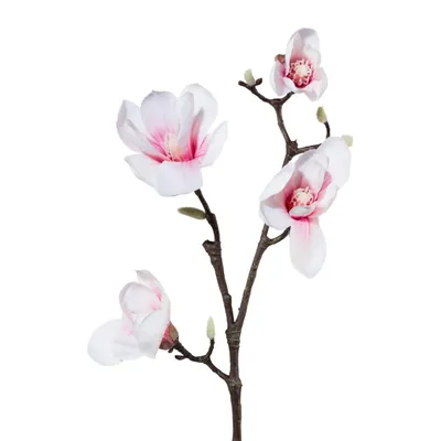 Produktbild von Kunstblume MAGNOLIE 85cm. Mit 4 Magnolien Blüten und Knospen. ROSA