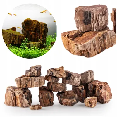 Produktbild von Aquarium Steine, skamieniałe Holz 1 kg, graue Naturstein-Deko für Aquascaping, Felsen und Höhlen für Zierfische