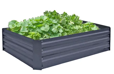 Produktbild von Beetumrandung BOTANIKA