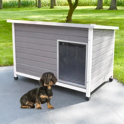 Produktbild von zooprinz Hundehütte Jacky | M | Massivholz | Höhenverstellbar | Klappdach | Wetterfest | 85x60x58cm (BxHxT)