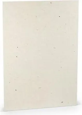 Produktbild von RÖSSLER 164012623 Briefbogen Paperado - A4, 240 g/qm, terra vanilla