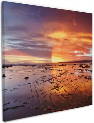 Produktbild von Wallario Premium Leinwandbild Wattwanderung am Meer bei Sonnenuntergang in Größe 50 x 50 cm