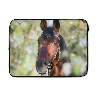 Produktbild von MuchoWow® Laptop Hülle 14 ZollPferde - Blüte - Frühling - Tiere Laptoptasche - Laptoptasche - Stoßsicher - Schutzhaube