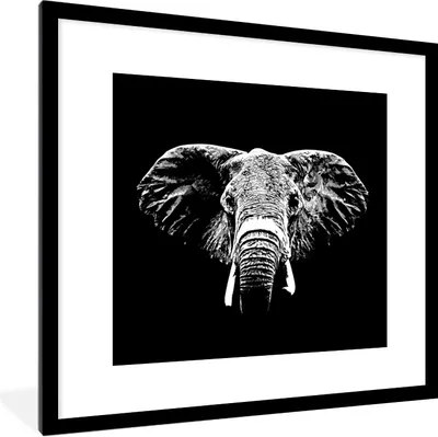 Produktbild von MuchoWow® Gerahmtes Poster Elefant - Tiere - Schwarz - Weiß 40x40 cm - Poster mit Schwarzem Bilderrahmen Wandposter Rahmen Foto Bilder - Poster - Plakat im Rahmen