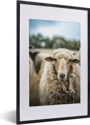Produktbild von MuchoWow® Gerahmtes Poster Porträt eines Schafes 40x60 cm - Poster mit Schwarzem Bilderrahmen Wandposter Rahmen Foto Bilder - Poster in Rahmen