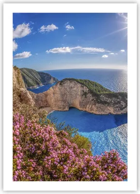 Produktbild von Poster - Poster ohne Rahmen - Meer Sommer Blume - 50x70 cm - Wand Bild - Wanddeko - Wandbilder - Kunstposter - Wandposter - Bilder - Kunstdruck - Wanddekoration - Wandbild - P2XPA50x70-3741