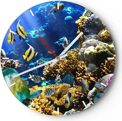 A round clock face displaying a vibrant coral reef scene with various colorful fish.