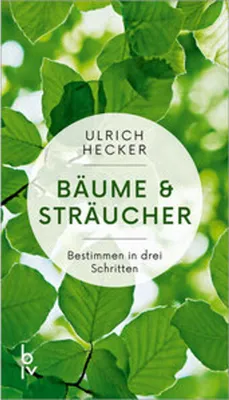 Produktbild von Bäume und Sträucher