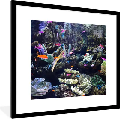 Produktbild von MuchoWow® Gerahmtes Poster Buntes Aquarium 40x40 cm - Poster mit Schwarzem Bilderrahmen Wandposter Rahmen Foto Bilder - Poster - Plakat im Rahmen