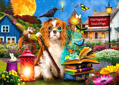 Productafbeelding van ENJOY Puzzel: De Magie, 1000 stukjes