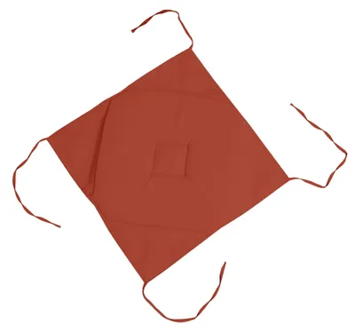Image de Coussin pour chaise, dimensions 40 x 40 cm, 100% polyester, couleur : terracotta, modèle Ne