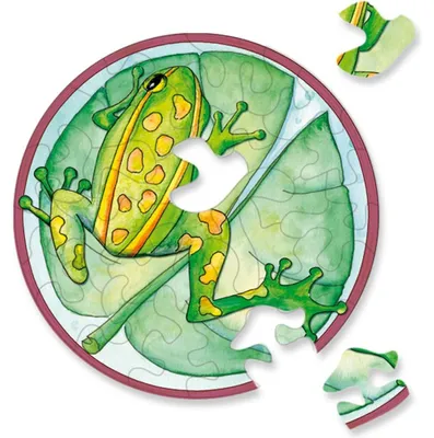 Productafbeelding van CURIOSI Puzzelset "Picoli": Kikker, 33 poppetjes