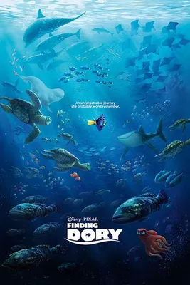 Obrázok produktu pre Hľadá sa Dory – Nezabudnuteľná cesta – 61 x 91,5 cm – plagát