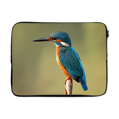 Produktbild von MuchoWow® Laptop Hülle 14 ZollEisvogel - Zweig - Tiere Laptoptasche - Laptoptasche - Stoßsicher - Schutzhaube