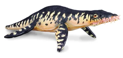 Immagine prodotto di Collecta - Liopleurodon -L- 88237 (90188237) COLECTA
