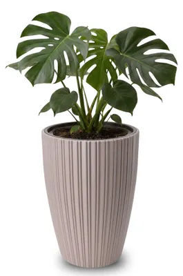 Produktbild von Großer Outdoor Blumentopf ZENTO taupe in 39 x 58 cm