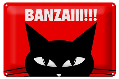 Produktbild von Blechschild Spruch 30x20cm Katze Banzaiii